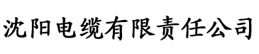 大香蕉伊人永久在线电缆厂logo